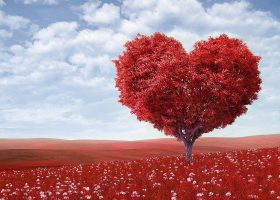 heart-shape-1714807_1280